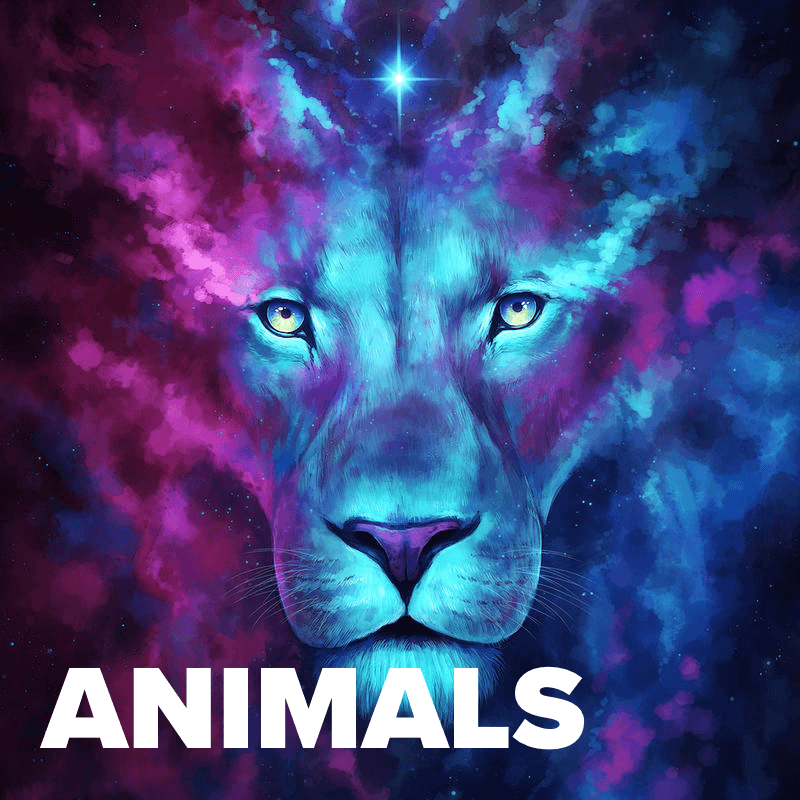 Animals